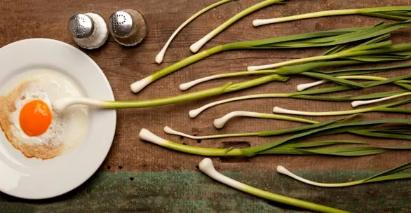 Foods and vitamins to increase sperm count