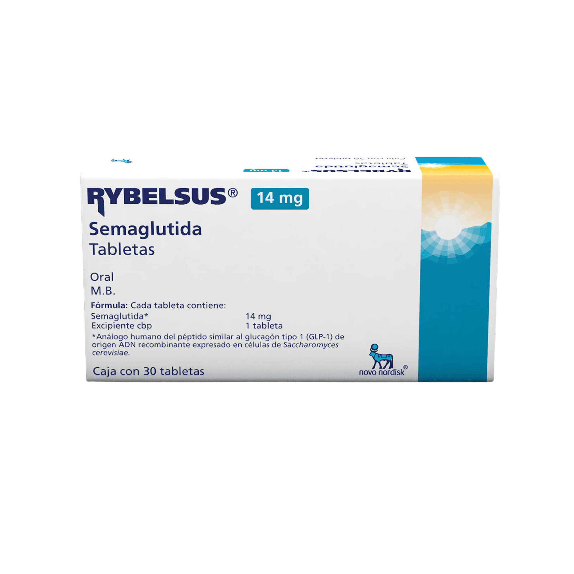 Rybelsus 1 Rybelsus